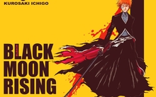 bleach kurosaki ichigo bankai 1024x768 wallpaper 